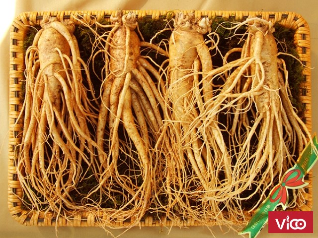 Bán Nhân Sâm Hàn Quốc