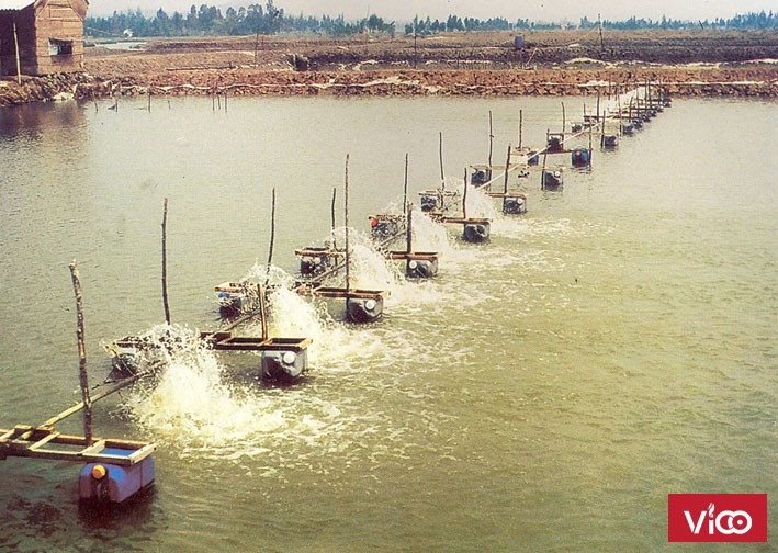 Phân phối Sodium Bicarbonate NaHCO3 cho nhà máy sản xuất thức ăn thủy sản