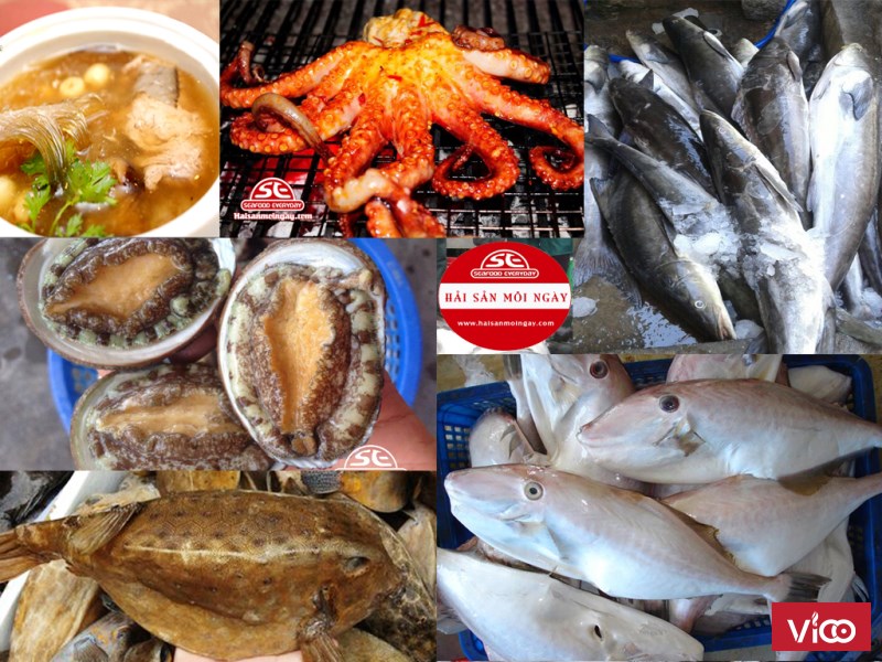 Cung cấp hải sản dinh dưỡng cao, tốt cho sức khỏe.