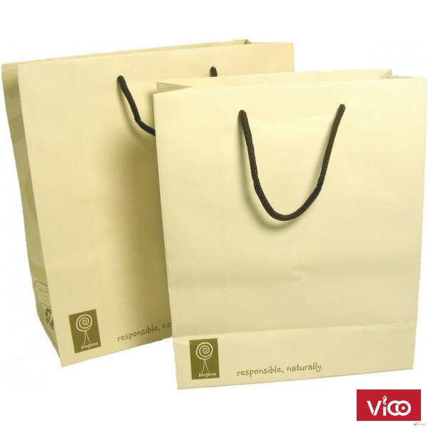 IN TÚI GIẤY ĐỰNG QUÀ ĐẸP