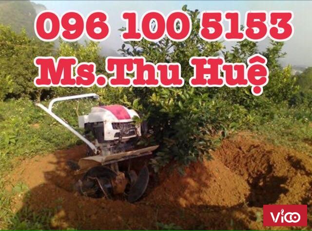 Máy làm đất đa năng trâu vàng giá rẻ nhất thị trường