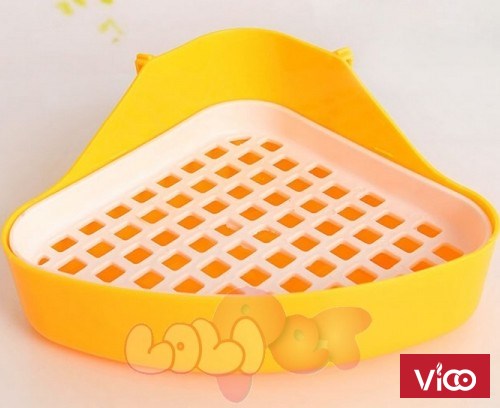 5 nguyên tắc dạy thú cưng đi vào khay vệ sinh cho chó mèo