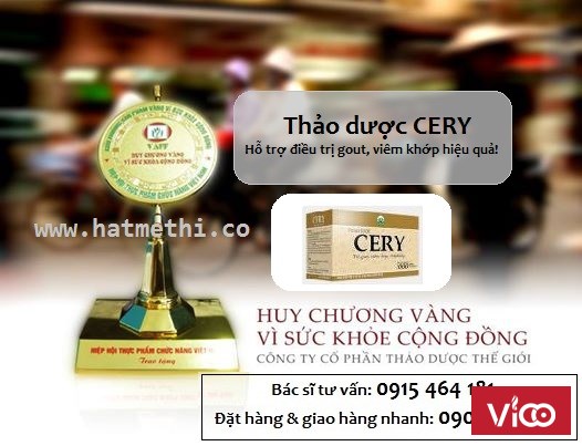 Thảo dược Cery ngăn ngừa & điều trị gout, đau nhức khớp