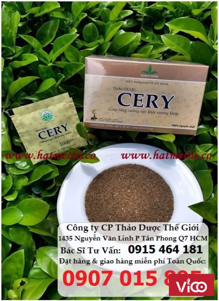 Thảo dược Cery ngăn ngừa & điều trị gout, đau nhức khớp