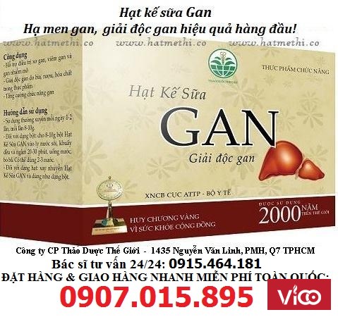 Hạt Kế Sữa - thảo dược số 1 trị xơ gan, gan nhiễm mỡ, hạ men gan