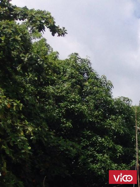 Bán 140m2 đất mặt tiền đường Nguyễn Thị Minh Khai, P. Tân Bình, Dĩ An