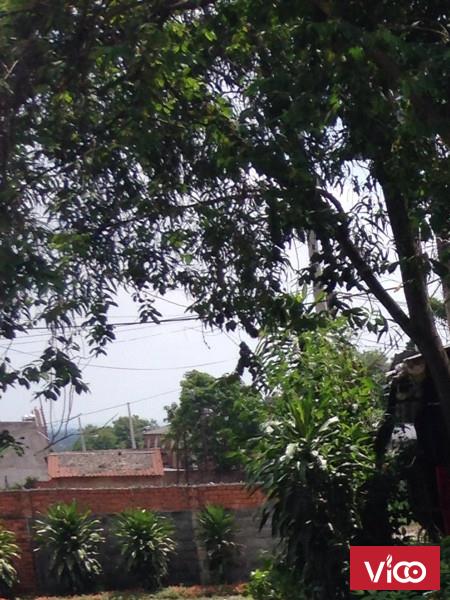 Đất Tân Bình Dĩ An 8.6tr/m2 có sổ công chứng ngay trong ngày