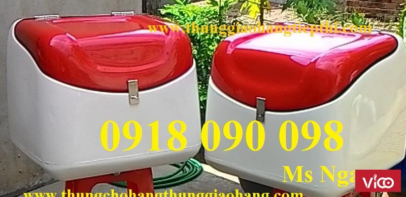 Thùng giao hàng, thùng chở hàng, thùng hàng sau xe máy, thùng chở hàng tiếp thị