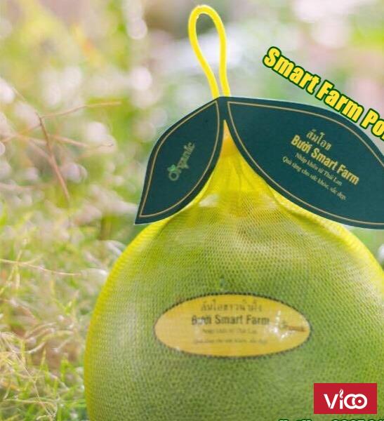 Bưởi Smart Farm (Kháo Nậm Phừng) Bưởi organic (hữu cơ) nhập khẩu Thái Lan