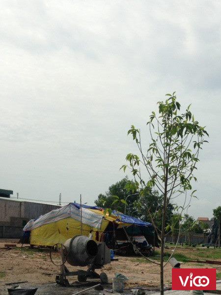 840 triệu 105m2 sở hữu ngay 1 đất nền tại Long thành, Đồng Nai
