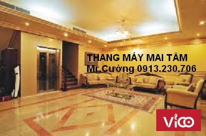 Thang máy gia đình tư vấn lắp đặt thang máy chính hãng