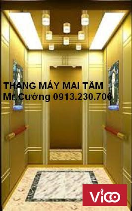 Cung cấp lắp đặt thang máy tải khách