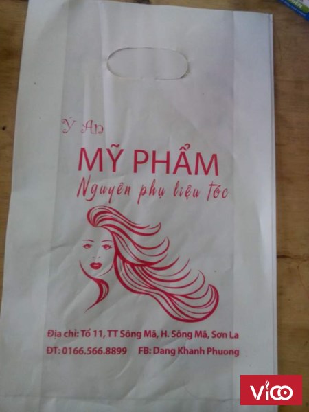 In túi nylon chất lượng