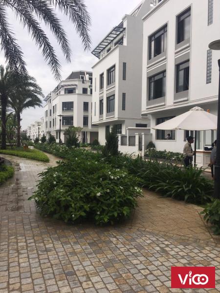 Chúng tôi cho thuê 15 căn liền kề shophouse Vinhomes Mỹ Đình, 30 50tr/th, mặt đường chính, miễn TG