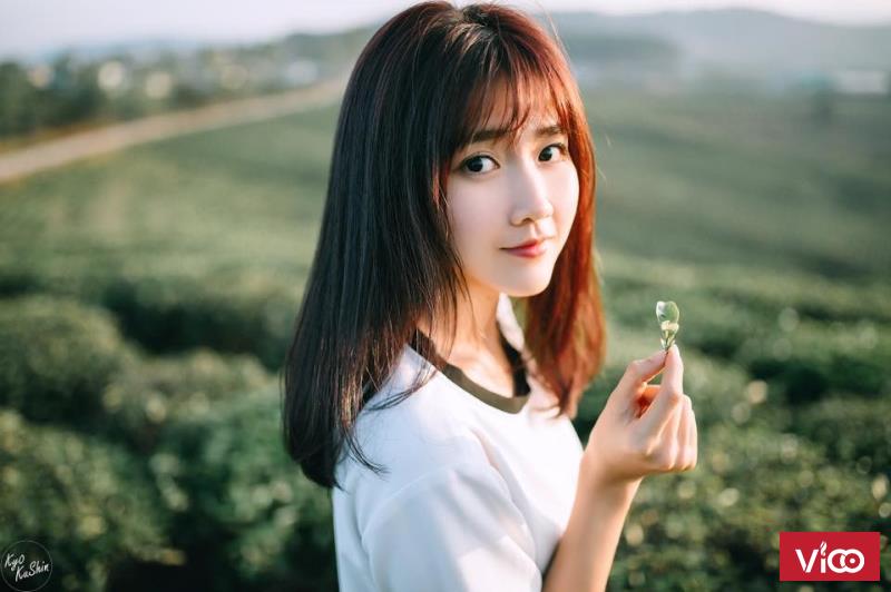 Chuyển phát nhanh đi Anh, Pháp, Đức, Mỹ, Canada, Úc, NZ, Nhật, Hàn...