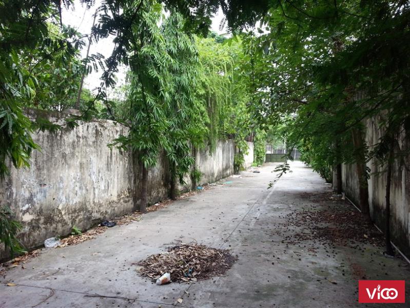 Phòng cho thuê có kệ bếp, thoáng mát, yên tĩnh