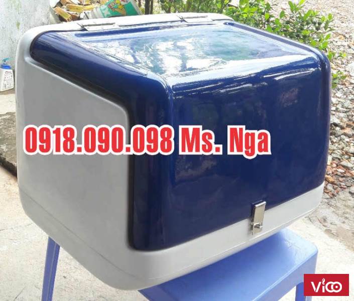 thùng chở hàng , thùng giao hàng , thùng giao thức ăn, thùng chở hàng sau xe máy