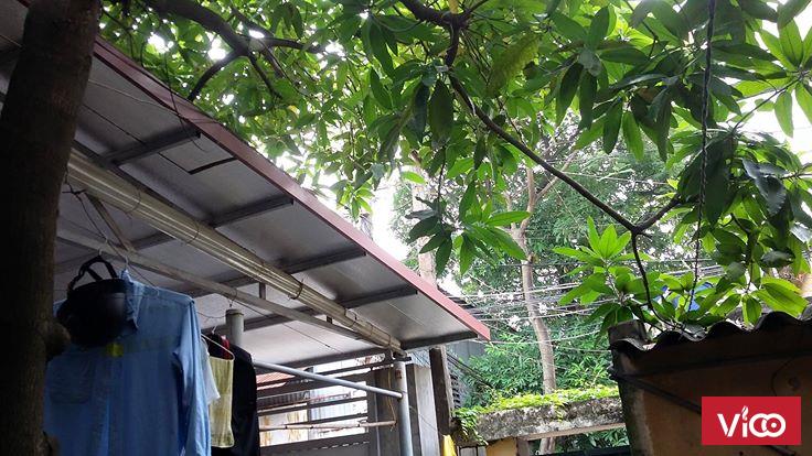 Cho Thuê Phòng Trọ giá rẻ Đức Giang Long Biên