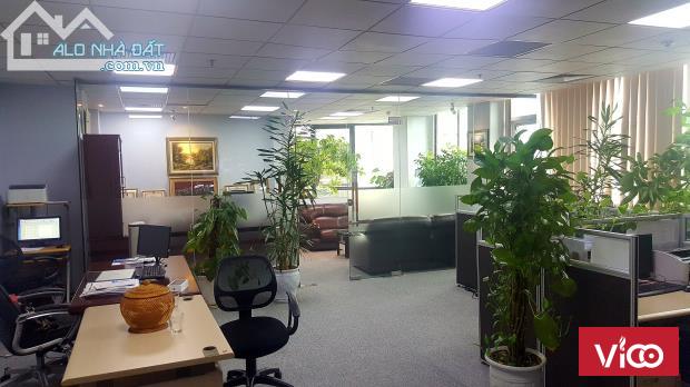Cho thuê VP 34m2,67m2,110m2,250m2,300m2 Cầu Giấy. Không thu phí khách