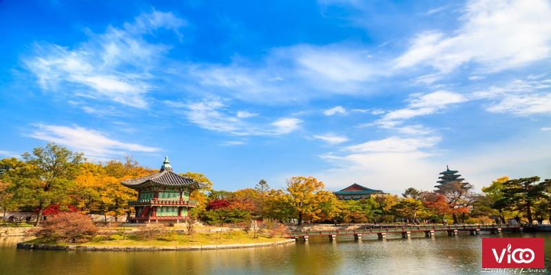 HOT Tour Hàn Quốc Hoài Niệm Mùa Thu Vàng 6 Ngày 5 Đêm