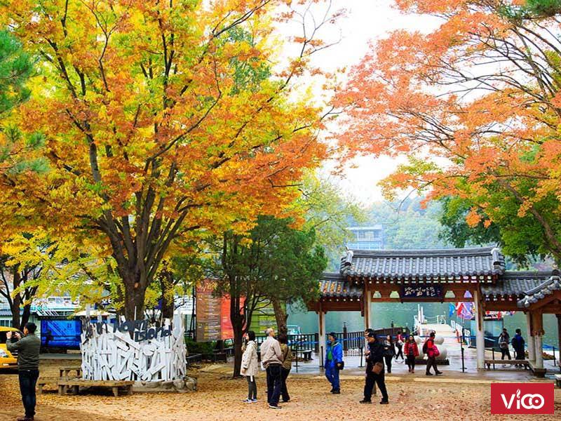 Tour Hàn Quốc và Đài Loan giá rẻ