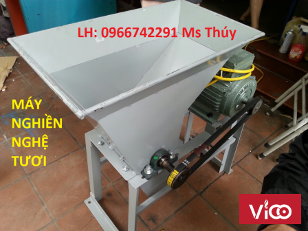 Máy nghiền nghệ tươi loại to