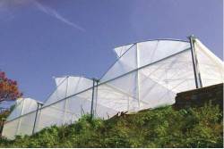 Màng nhà kính phơi nông sản