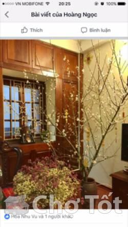 Cho thuê nhà 04 tâng x 50m2 phố doãn kế thiện