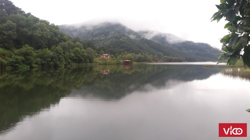 Bán 3000m2 đất thổ cư, vườn, rừng tiện lợi xây nhà nghỉ, trang trại tại xã Minh Trí, Sóc sơn, g