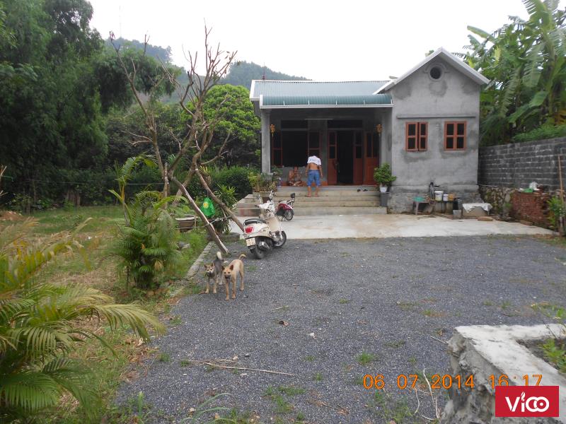 Nhà đất thổ cư 3000m chỉ 850 tr thích hợp chăn nuôi tp sạch