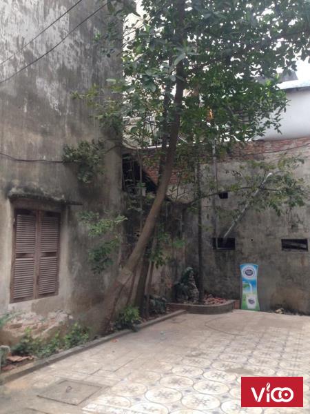 Cho thuê phòng 15m220m2, 1tr52tr3 ngõ 102 ngách 33 Trường Chinh