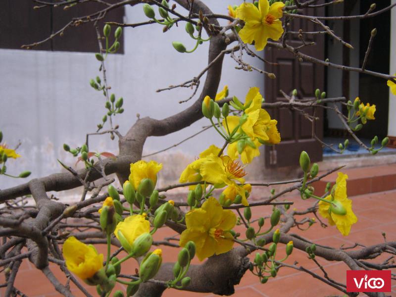 Cho thuê phòng khép kín 55m2 T2 mặt tiền Đường Bưởi giá 4,5 triệu/tháng Chủ nhà 0903233493