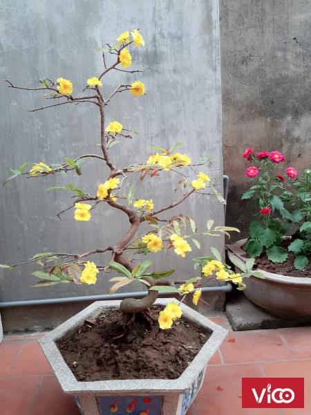 Nhà mặt tiền đường Bưởi Cho thuê Tầng 2 làm Văn Phòng 55m2 chính chủ 4,5 triệu