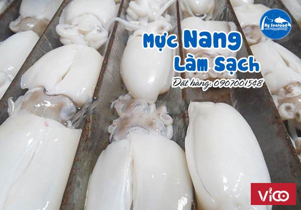 Mực Nang tươi đánh bắt trực tiếp từ biển được lột da làm sạch