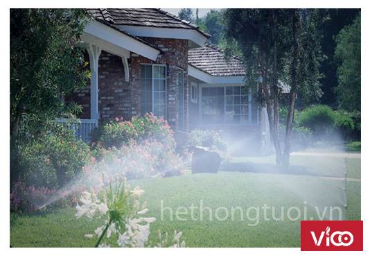 Hệ thống phun sương tưới lan,vòi phun sương tưới cỏ, hệ thống tưới phun sương cho rau