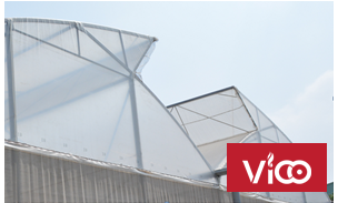 Màng nhà kính, màng kính Israel, màng nhà kính 150 mic, màng nhà kính 200 mic, màng nhà kính giá rẻ