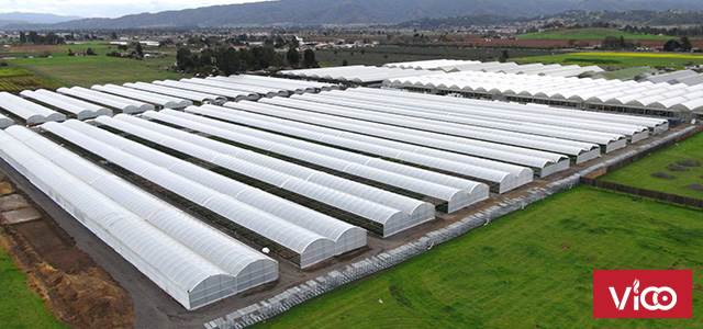 Màng phủ nhà kính, vật tư nhà kính, màng nhà kính hà nội, màng nhà kính Israel
