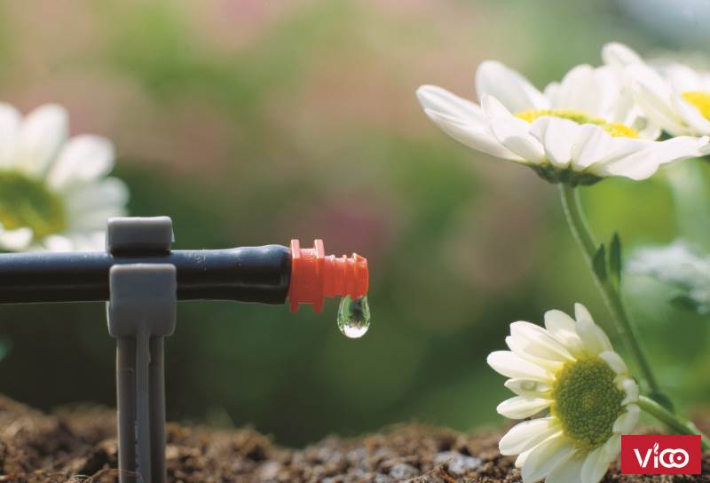 Dây tưới nhỏ giọt 16mm, dây tưới nhỏ giọt bù áp, dây tưới nhỏ giọt 6mm, dây tưới nhỏ giọt giá rẻ