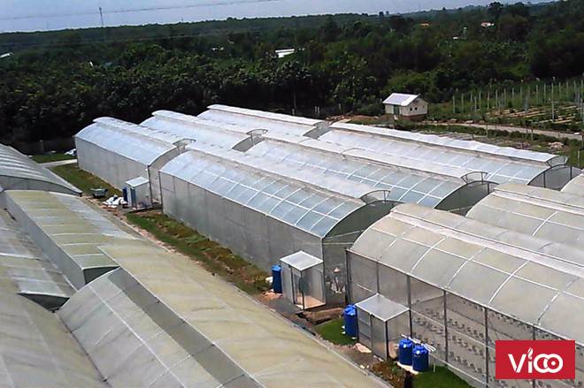 Nhà lưới, nhà lưới nhà kính, vật tư nhà lưới, lưới chắn côn trùng, lưới chắn côn trùng nông nghiêp