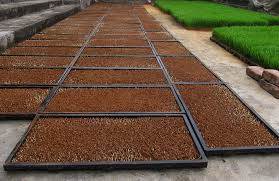 Khuyến mại khay gieo mạ giá siêu rẻ nhân dịp năm mới