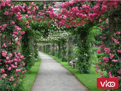 Bán căn hộ tập thể tầng 1 ngõ Trạm Điện Ba La Hà Đông