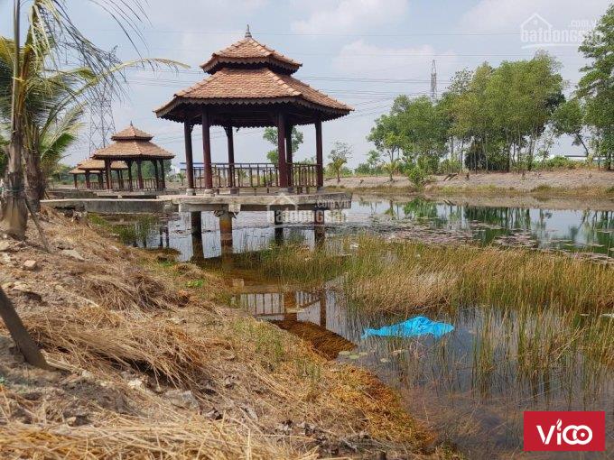 Chính chủ bán gấp nền 75m2, 670tr, shr, trần văn giàu bình chánh