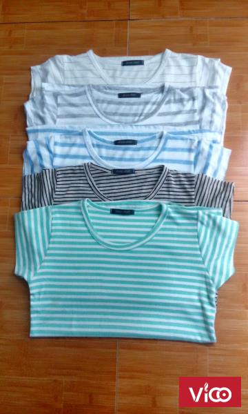 Bán buôn áo phông sọc nữ giá sỉ 17k