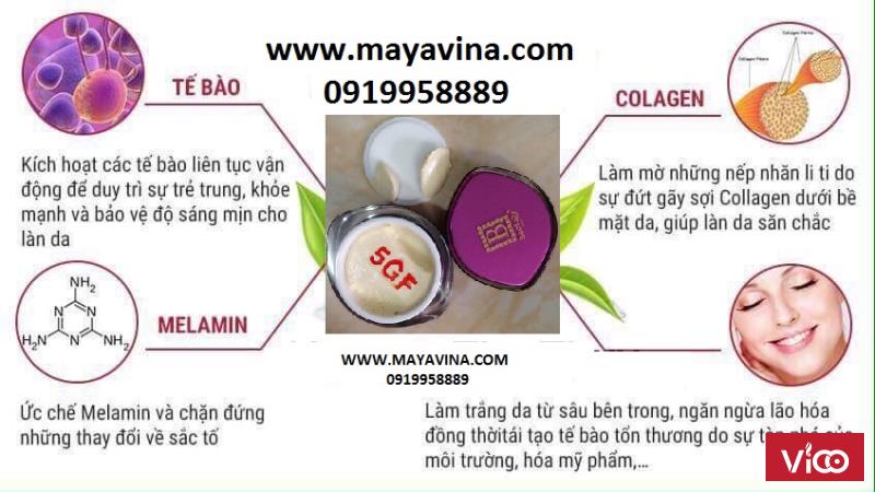 5GF chính hãng đài loan