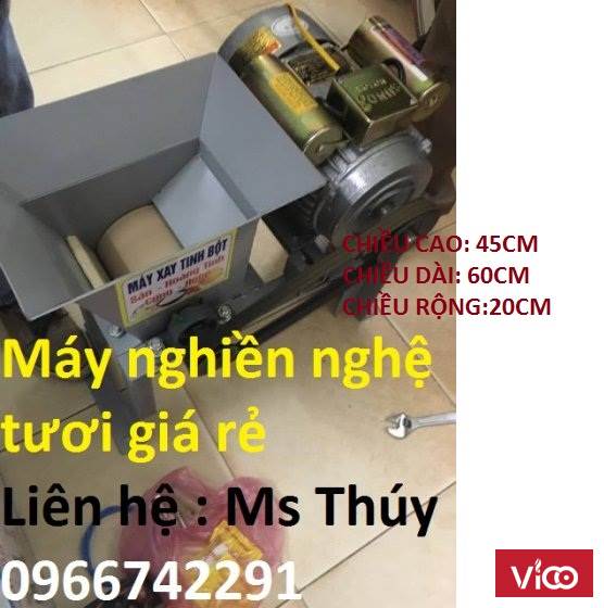 Máy nghiền nghệ tươi _đại lý phân phối Thiên Đăng