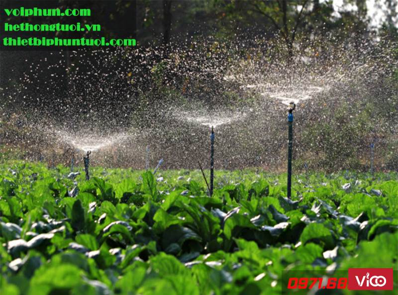 Cách làm hệ thống tưới phun mưa, hệ thống tưới cây hẹn giờ,vòi tưới cây tự động