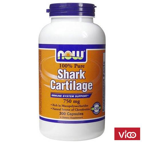 Vi sụn cá mập Now
