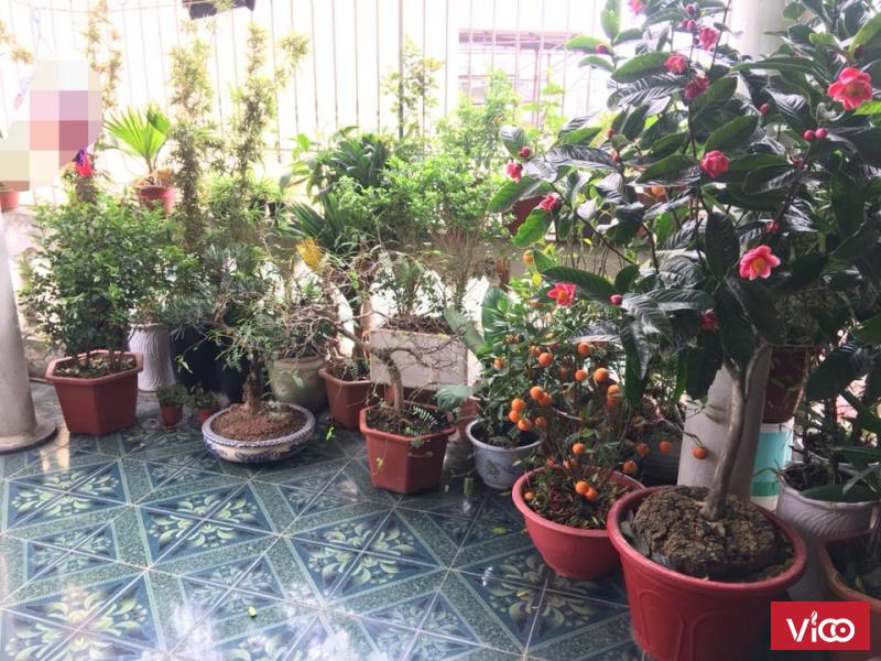 Cho thuê nhà ngõ 460 thụy khuê