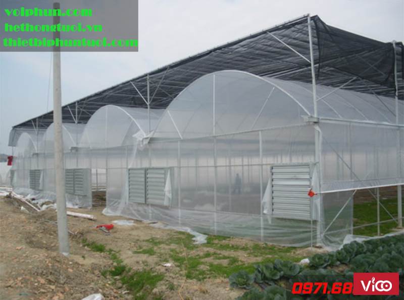 Nhà màng kính Israel , màng PE nhà kính , màng nhà kính trồng hoa , màng kính nông nghiệp ,