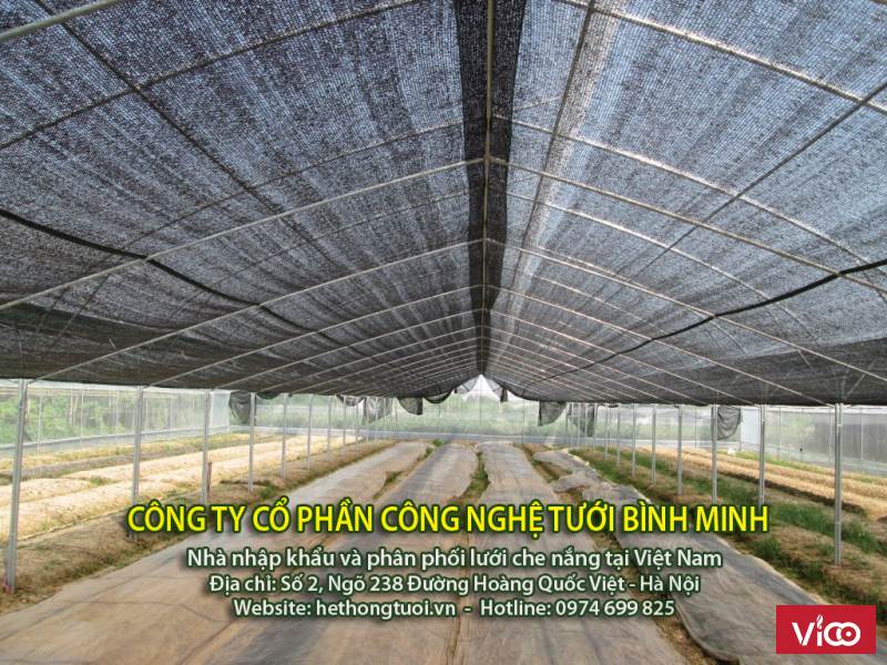 Lưới che nắng thái lan, lưới che nắng nhập khẩu, bán lưới che nắng tại hà nội